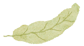 501642b5e8ae595172105c075b16c7fe.png 501642b5e8ae595172105c075b16c7fe.png