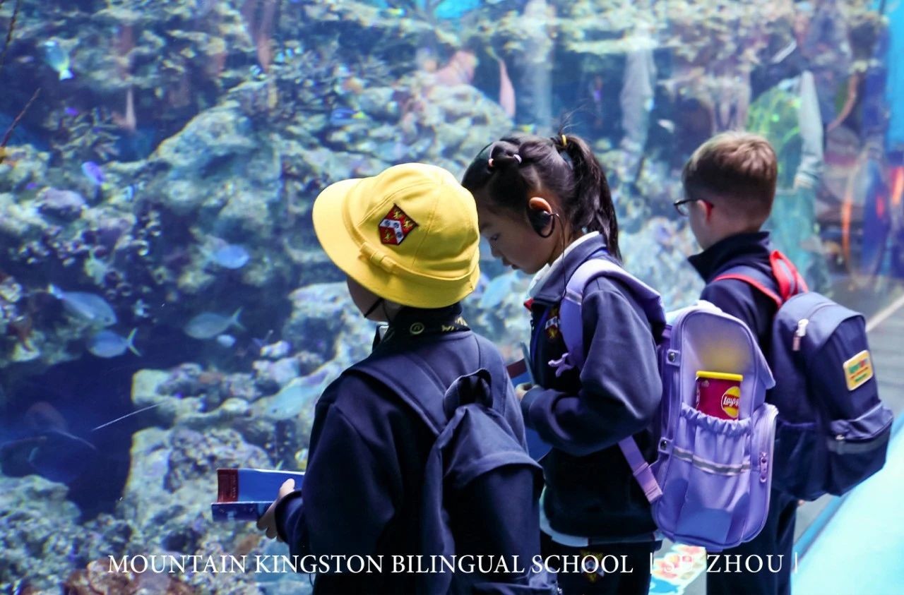 50704501480200986066a349ce06cbd6.jpg 50704501480200986066a349ce06cbd6.jpg