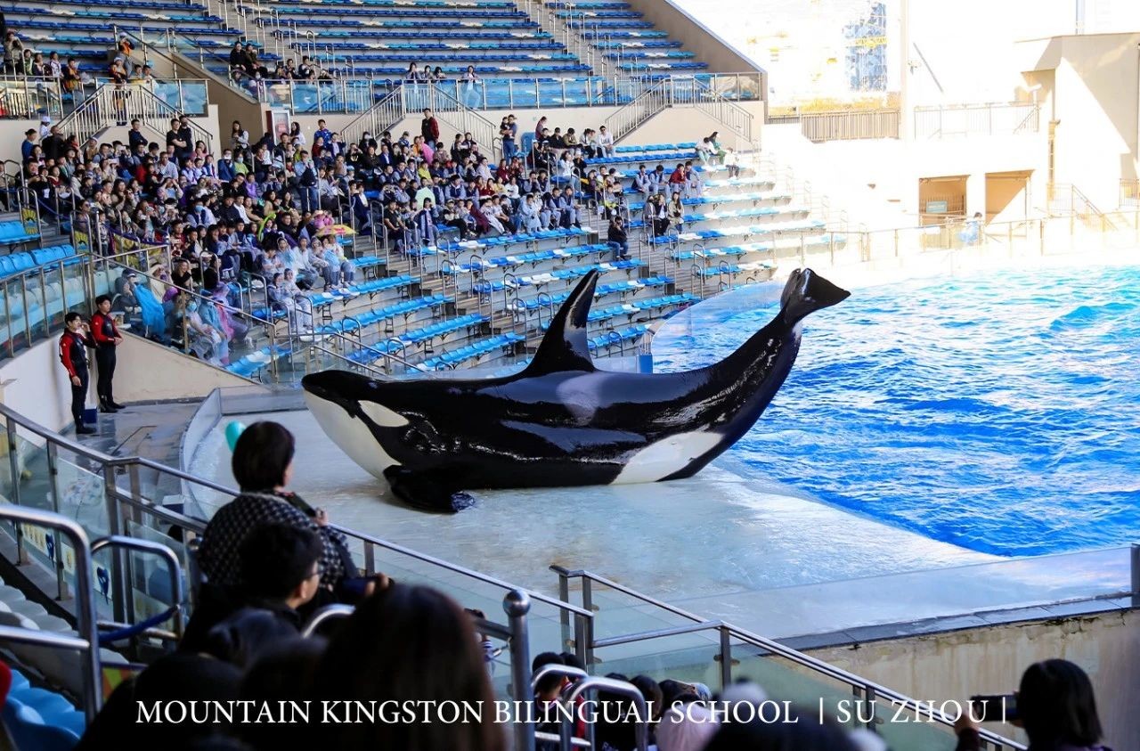 0d51bd17e4660574b5f0a2e6e17a27b6.jpg 0d51bd17e4660574b5f0a2e6e17a27b6.jpg