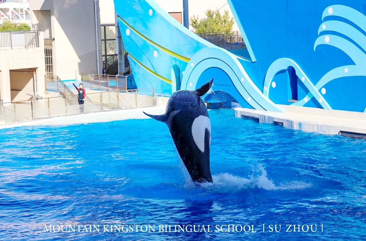 3c2d03d3181528d6a7957311897f4a5e.jpg 3c2d03d3181528d6a7957311897f4a5e.jpg